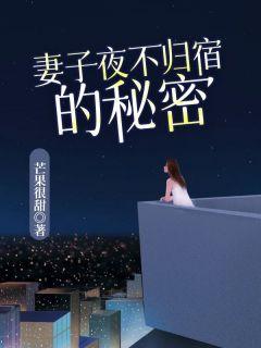 妻子夜不归宿的秘密