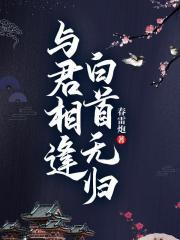 与君相逢，白首无归