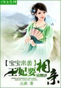 宝宝来袭：王妃要相亲